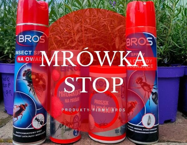  Produkty do zwalczania mrówek oraz innych insektów biegających dostępne w Ebud !…