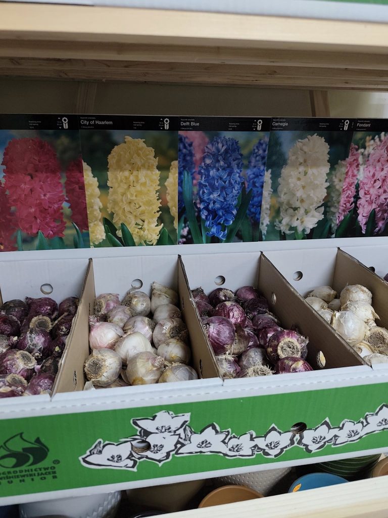 By na wiosnę było pięknie i kolorowo jeszcze są...