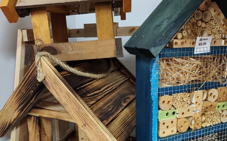  Obserwowanie sikorek, wróbli i kosów z kubkiem ciepłej kawy to najlepszy sposób …