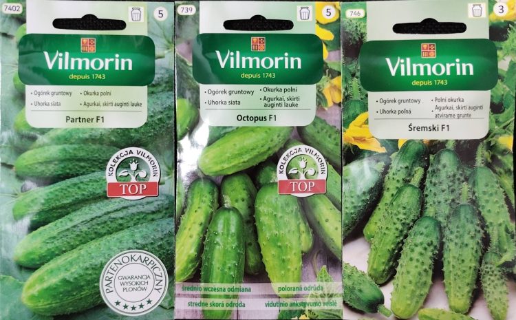  Już są  to tylko kilka propozycji, które dla Was mamy
Szeroki wybór nasion warzy…