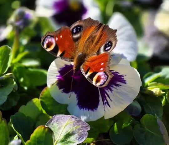  Czasem jeden obraz jest wart więcej niż tysiąc słów…  Nie chcieliśmy psuć tego…