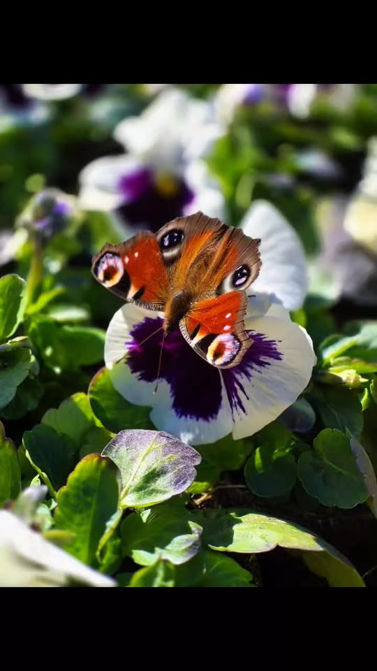 Czasem jeden obraz jest wart więcej niż tysiąc słów...