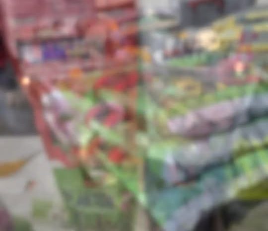  Kochani, 
Dział ogrodniczy jest otwarty