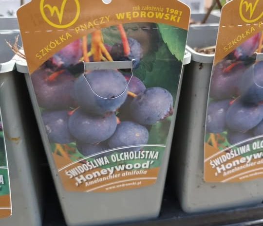  Kolejna dostawa 
Krzewy owocowe już na Was czekają 
Zapraszamy do Ebud